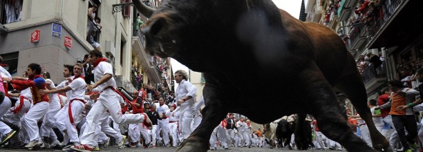 Running with the Bulls 
