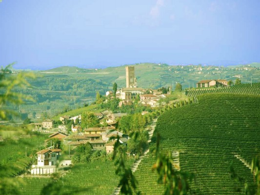 barbaresco vineyards urban flavours