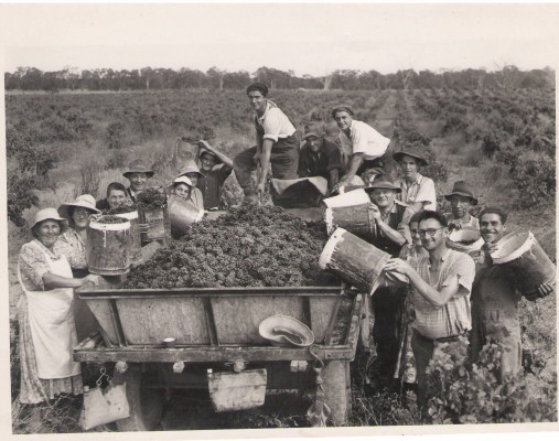 pickers 1950