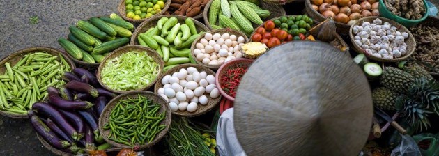 Hanoi Food 