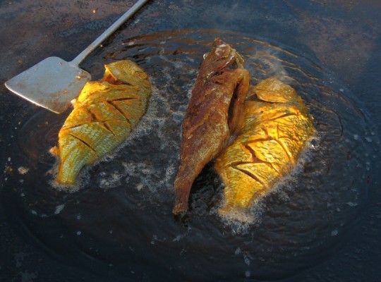 Fried_fish_asia_urban_flavours