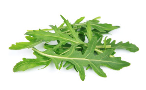 Rucola leaves