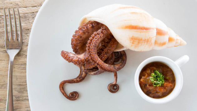 octopus_calamari_urban_flavours