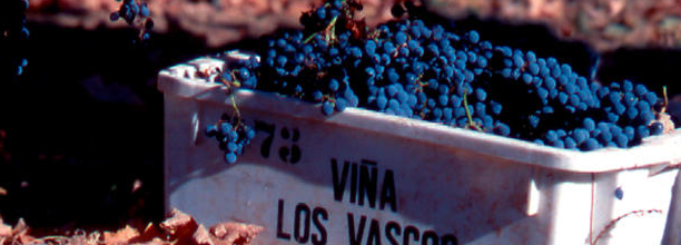 Los-vascos-chile-lafite-rothschild-urban-flavours