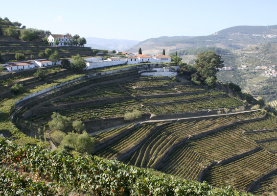 douro_quinta_urban_flavours