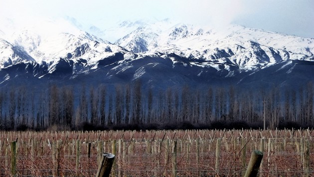 argentina-vineyards-Mendoza-urban-flavours