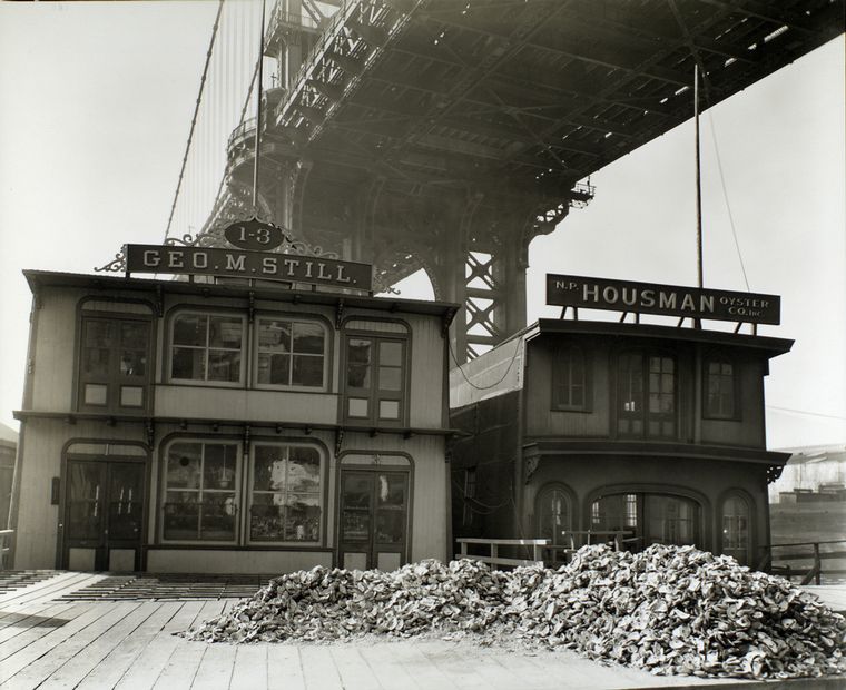 Brooklyn_bridge_oysters_urban_flavours