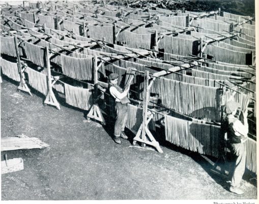 drying-pasta-urban-flavours