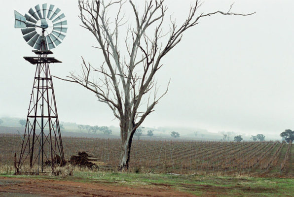 vineyard-heathcote-urban-flavours