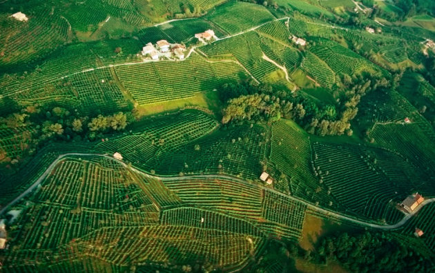 rias-baixas-galicia-spain-urban-flavours