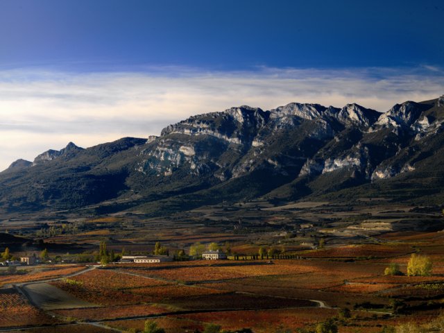 rioja-alta-vineyard-urban-flavours