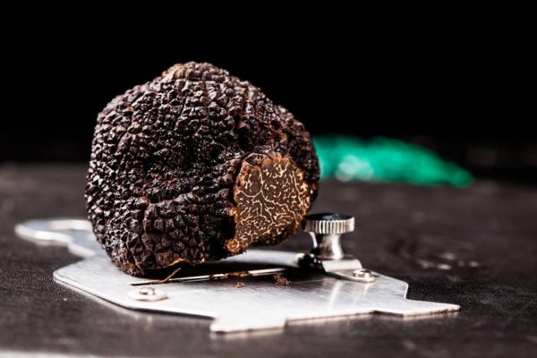 black-truffle-urban-flavours