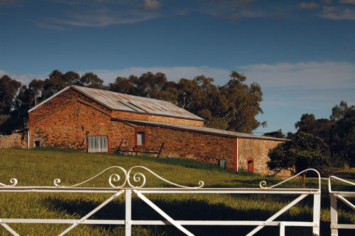 st-andrews-winery-urban-flavours