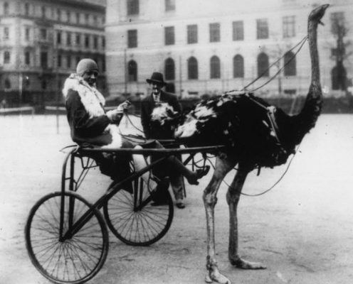 josephine-baker-ostriches-1920's-paris-urban-flavours