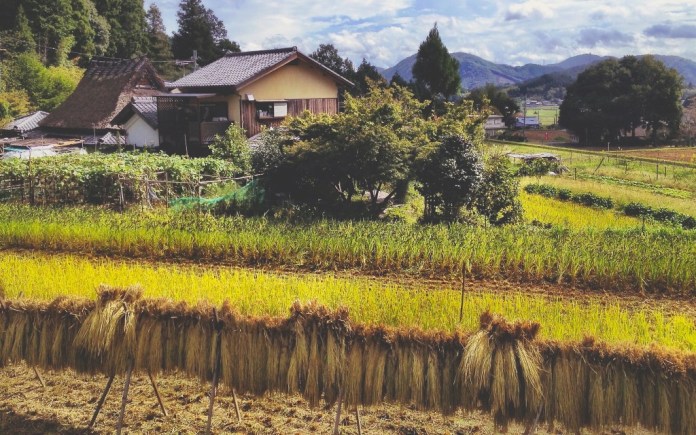 natural-farming-urban-flavours