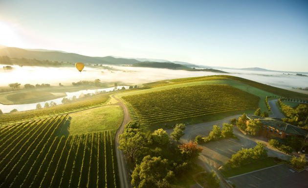 yarra-valley-urban-flavours