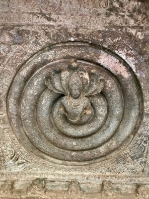6th_century_coiled_Nagaraja_in_ceiling_(cave_1),_Badami_Hindu_cave_temple_Karnataka