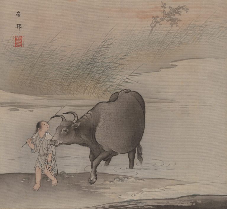Tajima Anima