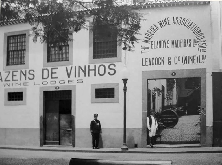 The Essential Guide to Modern Madeira